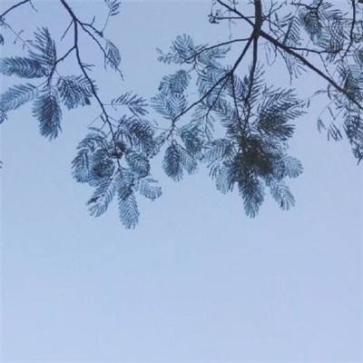 北欧战纪官方版下载