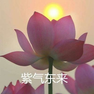 侠客无双手游下载